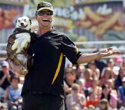 dog entertainment