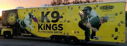 dog entertainers