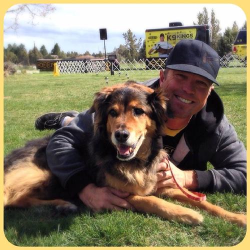 rescue dogs