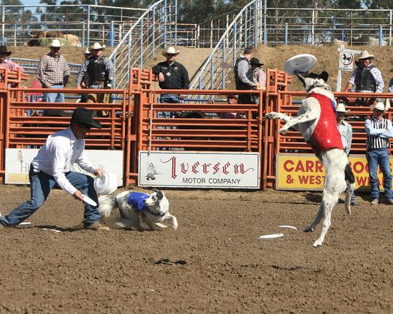 rodeo entertainment