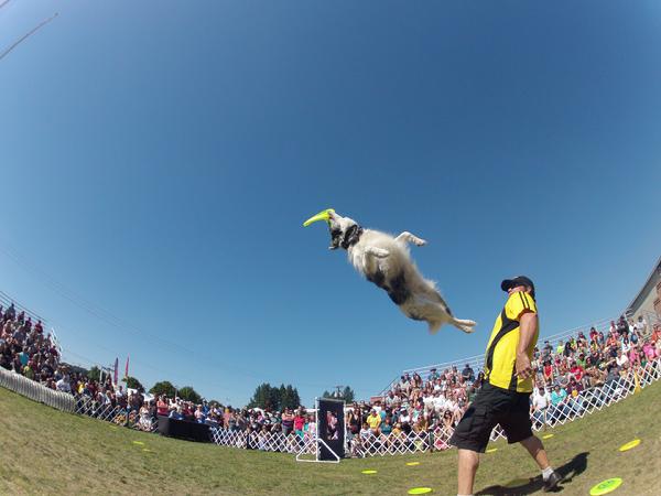 Oregon State Fair